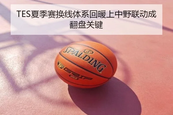 TES夏季赛换线体系回暖上中野联动成翻盘关键